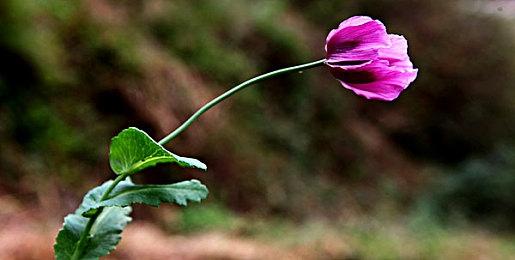 《刀剑封魔录》现已发售 Steam综合评价“多半好评”